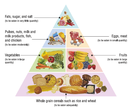 An Ultimate Guide On Safe & Nutritious Home Food | Food Safety Mantra Blog